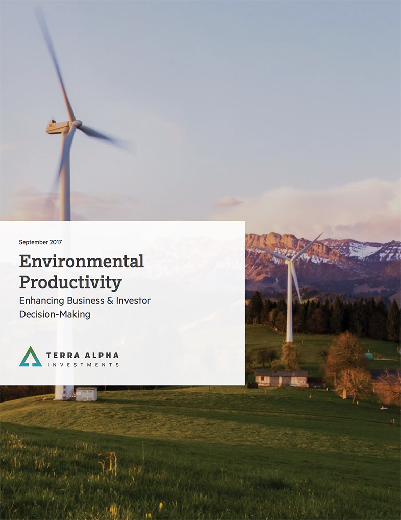 Environmental Productivity: Enhancing Business and Investor Decision-Making