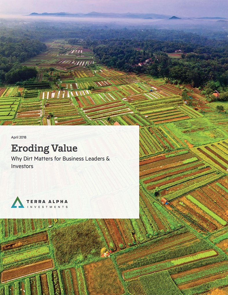 Eroding Value: Why Dirt Matters for Business Leaders and Investors