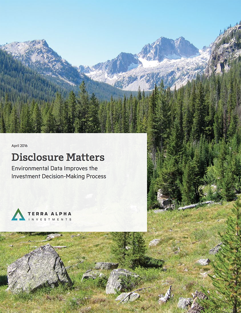 Disclosure Matters: Environmental Data Improves the Investment Decision-Making Process