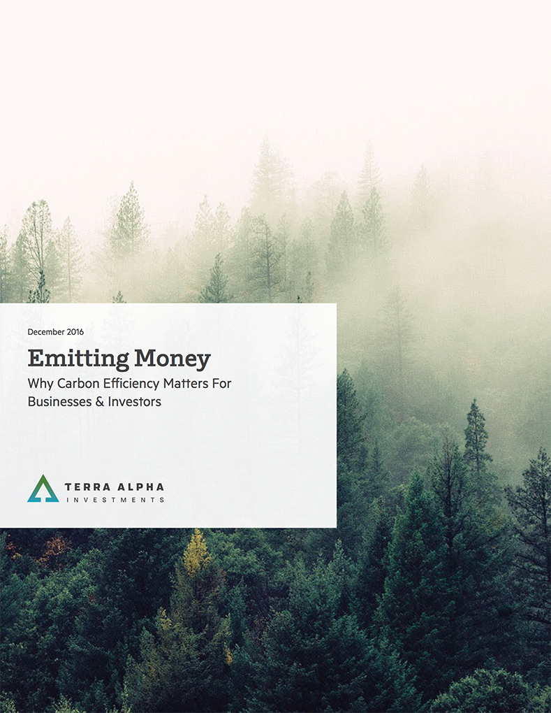 Emitting Money: Why Carbon Efficiency Matters for Businesses and Investors