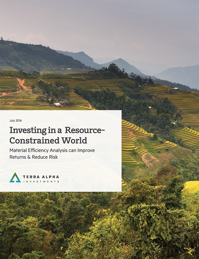 Investing in a Resource-Constrained World: Material Efficiency Analysis can Improve Returns and Reduce Risk