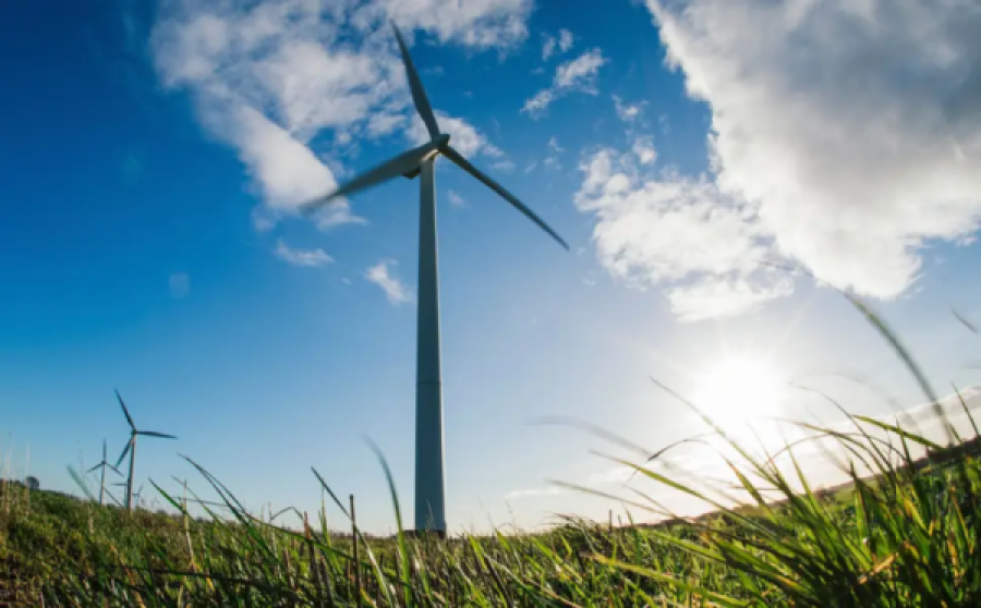 Investing Beyond Fossil Fuels